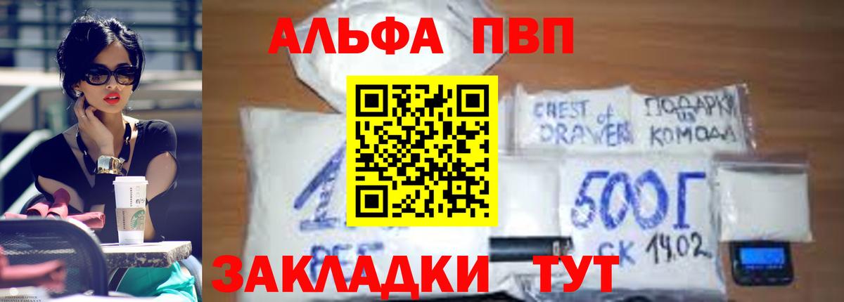 А ПВП СК КРИС  А ПВП крисы CK  Вход с VPN  Alfa_PVP СК КРИС  Будённовск 