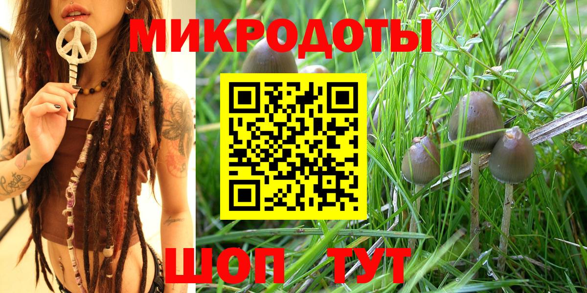 Псилоцибиновые грибы мухоморы  как найти закладки  Галлюциногенные грибы мицелий  Будённовск  Вход с VPN 