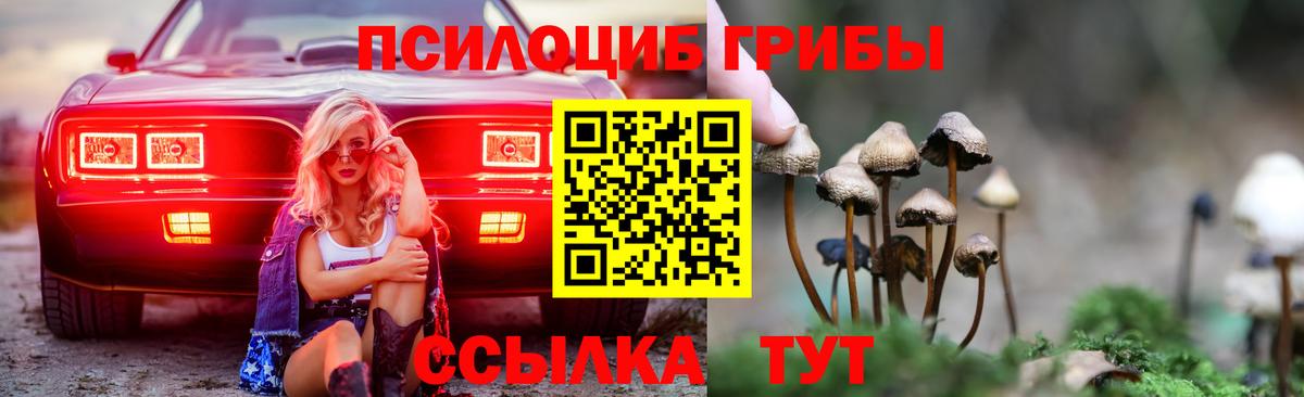 Галлюциногенные грибы GOLDEN TEACHER Будённовск